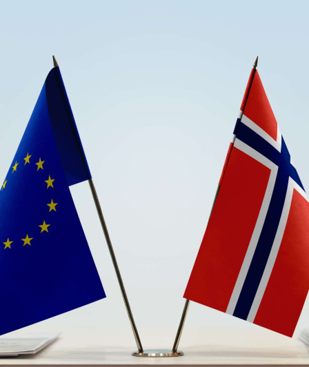 Volt Norge Board
